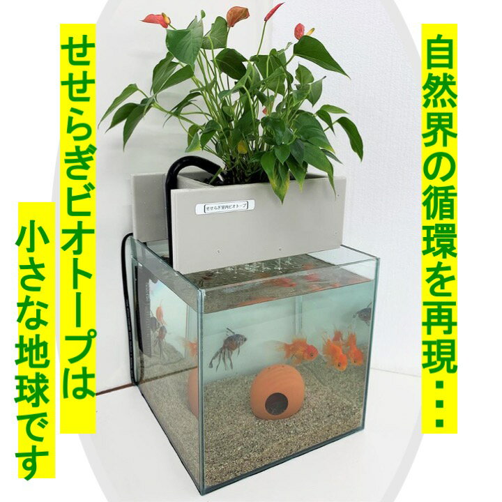 【TVで紹介されました】 せせらぎビオトープ ろ過器単体ポンプセット 水替え不要 20cm おしゃれ フィルター ポンプ アクアポニクス 金魚 メダカ 熱帯魚 水替え 観葉植物 癒やし インテリア 西条庭園 【水槽はついていません】