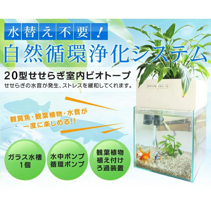 水替え不要水槽 ビオアクア めだか水槽 基本水槽と照明 スチールカバーセット 金魚や熱帯魚の水槽にピッタリ 観葉植物が水 をキレイにします 西条庭園金魚や熱帯魚と観葉植物が一度に楽しめて インテリアにもピッタリ 面倒な水替えがなんと不要 おしゃれ水槽 25cm