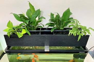 【TVで紹介されました】 せせらぎビオトープ ろ過器単体ポンプセット 90cm おしゃれ フィルター ポンプ 金魚 メダカ 熱帯魚 水替え 観葉植物 癒やし インテリア 西条庭園 アクアポニクス せせらぎビオトープ