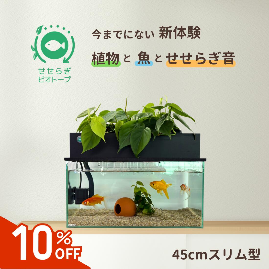 新しく仲間入り！ 少し大きめ ろ過装置 メダカ 金魚 ビオトープ 新しく仲間入り！ 少し大きめ ろ過装置 メダカ 金魚 ビオトープ