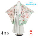 【レンタル】 七五三 5歳 男 男の子 着物 着物レンタル 華徒然 若草色 絵羽 鷹 刀 菊 B8AO5081【七五三レンタル】フルセット きもの 袴レンタル ...