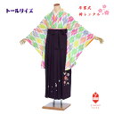 【レンタル】袴 卒業式 トールサイズ 高身長 背の高い 個性的 175cm モダン 女 女性 袴レンタル 【大きい袴 トール 175cm前後】パステル アーガイ...