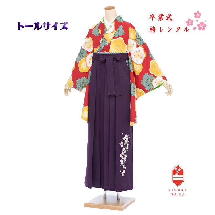 y^z Ǝ   傫 g уZbg tZbg g[TCY170cmO ԁ@  w ͂ Zbg Ǝу^@168cm`173cm  B8AG128Y hakama ͂܃^  В