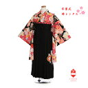 袴セット 小学生 ジュニア 卒業式 女の子 小学校 着物 半衿付き 黒 匹田に道長 袴 矢羽根刺繍入り 女子 142cm〜148cm ブーツ 髪飾り 送料無料 ...