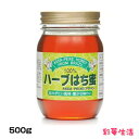 ハーブはち蜜　500g