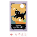 【最新作】チャーミングキャットタロット(2025年1月発売) 猫 ライダーウェイト版 はじめて デザイン 瞳 不思議 無邪気 魔法 お守り 猫タロット フルデッキ 気軽 キャラメル箱 キャラクター 新品 日本語 キーワード一覧付き