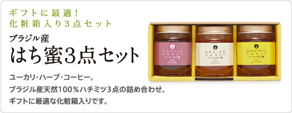 ブラジル産 はち蜜 3点セット 150gx3 / ハチミツ 天然 はちみつ 蜂蜜 瓶 健康 コーヒーの花 希少価値 自然 食品 無添加 無着色 純正 カルシウム カリウム マグネシウム エネルギー補給 サンフローラ ギフト プレゼント 化粧箱入り ユーカリ ハーブ コーヒー 詰め合わせ 2