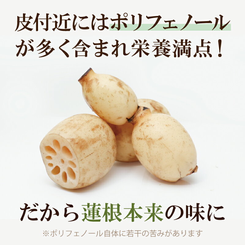 【お買上特典】リブレフラワー・ホワイト（浅炒り焙煎） 500g【シガリオ】