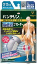 【送料込み×30個】バンテリン コーワ高通気サポーター ひざ専用大きめ Lサイズ シルバーグレー×30個セット