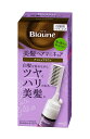 ブローネ 美髪ヘアマニキュア クシ付 アッシュブラウン