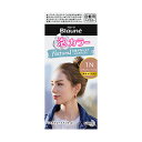 花王 ブローネ 泡カラー 1N ナチュラリーベージュ