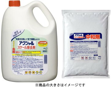 花王　アクシャルスケール　除去剤5kg + 中和剤1.2kg