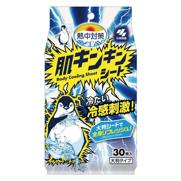 【送料込/6個セット】熱中対策 肌キンキンシート 無香料 30枚入 ×6袋