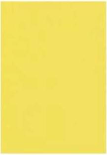 【送料込】カラーコピー用紙 黄色 B5/20枚（在庫品のためワケあり）*