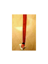 ����� ��ܥ�ϥ��ȥ� 5��