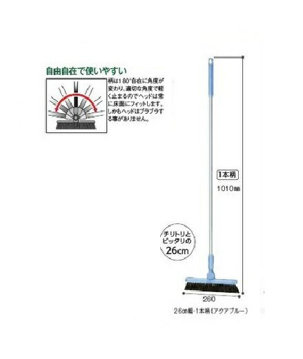 eg BM-2z[L26 1{ 26cm (ANAu[EO[)