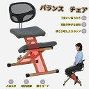 バランスチェア 在宅勤務 椅子 在宅ワーク チェア バランス チェア 大人 姿勢矯正 姿勢サポートチェア 猫背予防 腰痛対策 高さ調整 大人 子ども 大人 テレワーク オフィスチェア 体幹 背もたれ 姿勢が良くなる 椅子 姿勢 対策 猫背 矯正 いす リビング学習 デスクチェア(3)