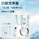 口腔洗浄器 口腔洗浄機 ウォーターピック 防水機能 電動 水圧10段階 ジェットクリーン 大容量800ml 高圧の水噴射 ジェット水流 歯間 歯垢除去 口臭改善...