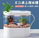 LEDライトフィルターポンプ付き水槽セットアクアリウム コードレス 水族館 オーナメント 自由研究 LED照明 水槽 セット卓上 玄関 リビング LEDランプ ...