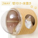 キャットステップ 壁付け 木製 キャットハウス 冬 ドーム型 宇宙船 透明 猫 据え置き 猫用 ねこ ベッド 猫用ベッド