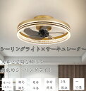 【2年保証】シーリングファンライト サーキュレーター シーリングライト 暖房器具 DC シーリングファン おしゃれ 軽量 薄型 ファン付き LED 扇風機 小型...