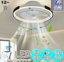 【2年保証】シーリングファンライト LED シーリングファン 子供部屋 8畳 調光調色 シーリングライト おしゃれ 北欧 薄型 6段階風量調節 風量調節 静音 リモコン付き DCモーター 扇風機 照明器具 天井照明 高輝度 省エネ 常夜灯