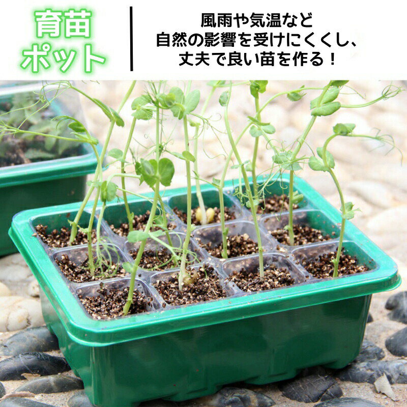 育苗ポット 育苗トレイ 育苗箱 6穴 12穴 10個セット 種子トレイ 種まきハウス 苗箱...