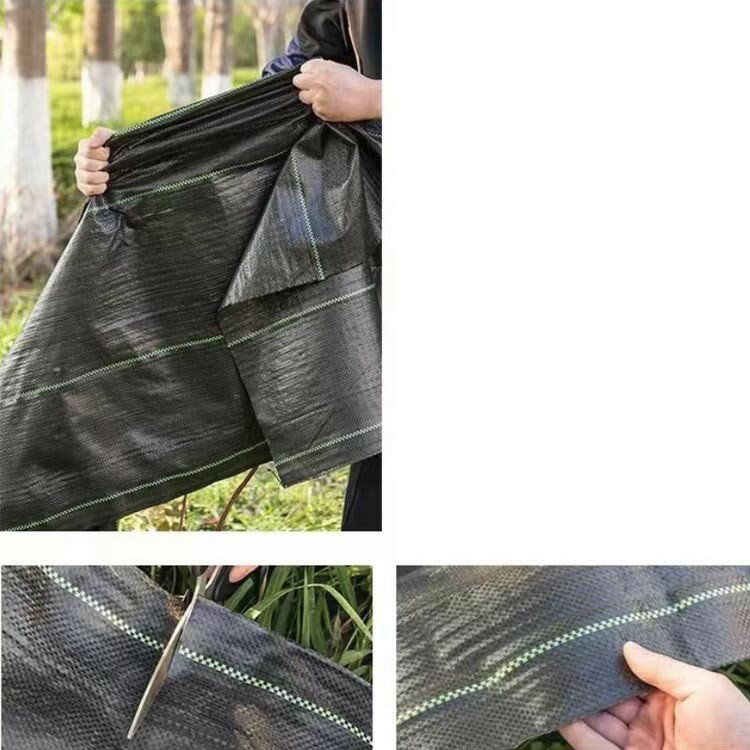 雑草 1m×200m 人工芝 防草シート 雑草防止シート 草 農用シート 2m×100m 庭 畑 草...