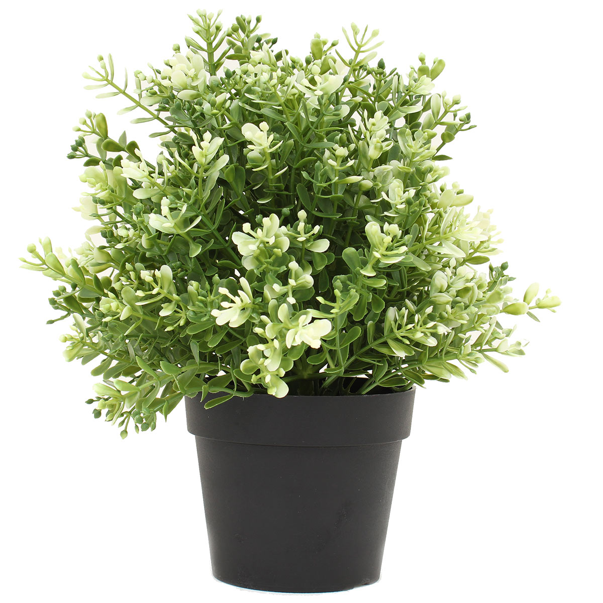 NIG702｜フェイクグリーンポット　人工観葉植物　タイム　直径15×高さ20cm【輸入品】