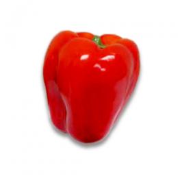 NAC008｜野菜オブジェ　フェイクフード　テーブルインテリア　レッドパプリカ M　55×50mm【輸入品】