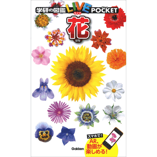 Rakuten - 花