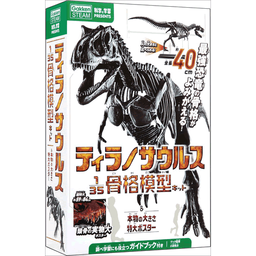 ティラノサウルス1／35骨格模型キット＆本物の大きさ特大ポスター