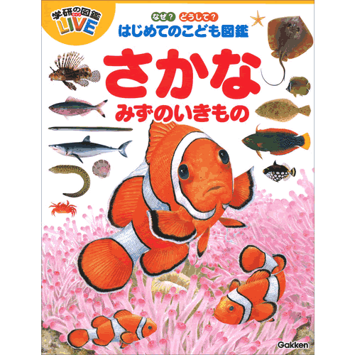 なぜ？どうして？はじめてのこども図鑑　さかな・みずのいきもの