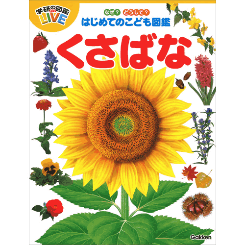 なぜ？どうして？はじめてのこども図鑑　くさばなのサムネイル