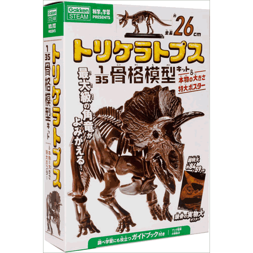 小林快次(監修)  35分の1スケールのトリケラトプス全身骨格模型。リアルな骨格パーツをプラモデルのように組み立てると、全長約25cmの大迫力フィギュアができあがる。付属のガイドブックではトリケラトプスのひみつも紹介。自由研究にも役立つ。 【サイズ】B5変　24ページ 発売日　2022/07/07 【著者プロフィール】 小林快次 北海道大学総合博物館　教授