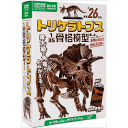 トリケラトプス1/35骨格模型キット&本物の大きさ特大ポスター
