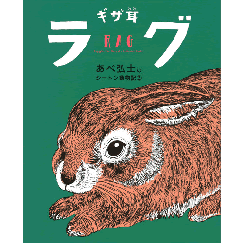 饰