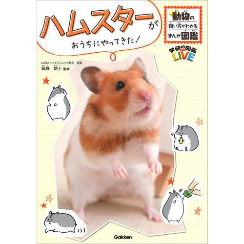 Rakuten - ハムスターがおうちにやってきた！