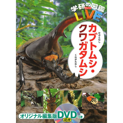 Rakuten - 学研の図鑑LIVE（ライブ）・カブトムシ・クワガタムシ