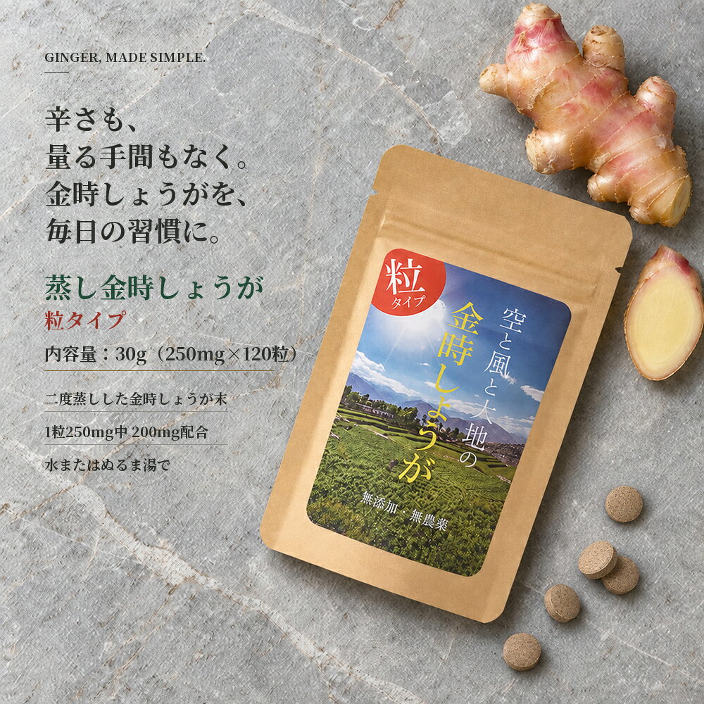 楽天市場】金時生姜 生姜種の通販