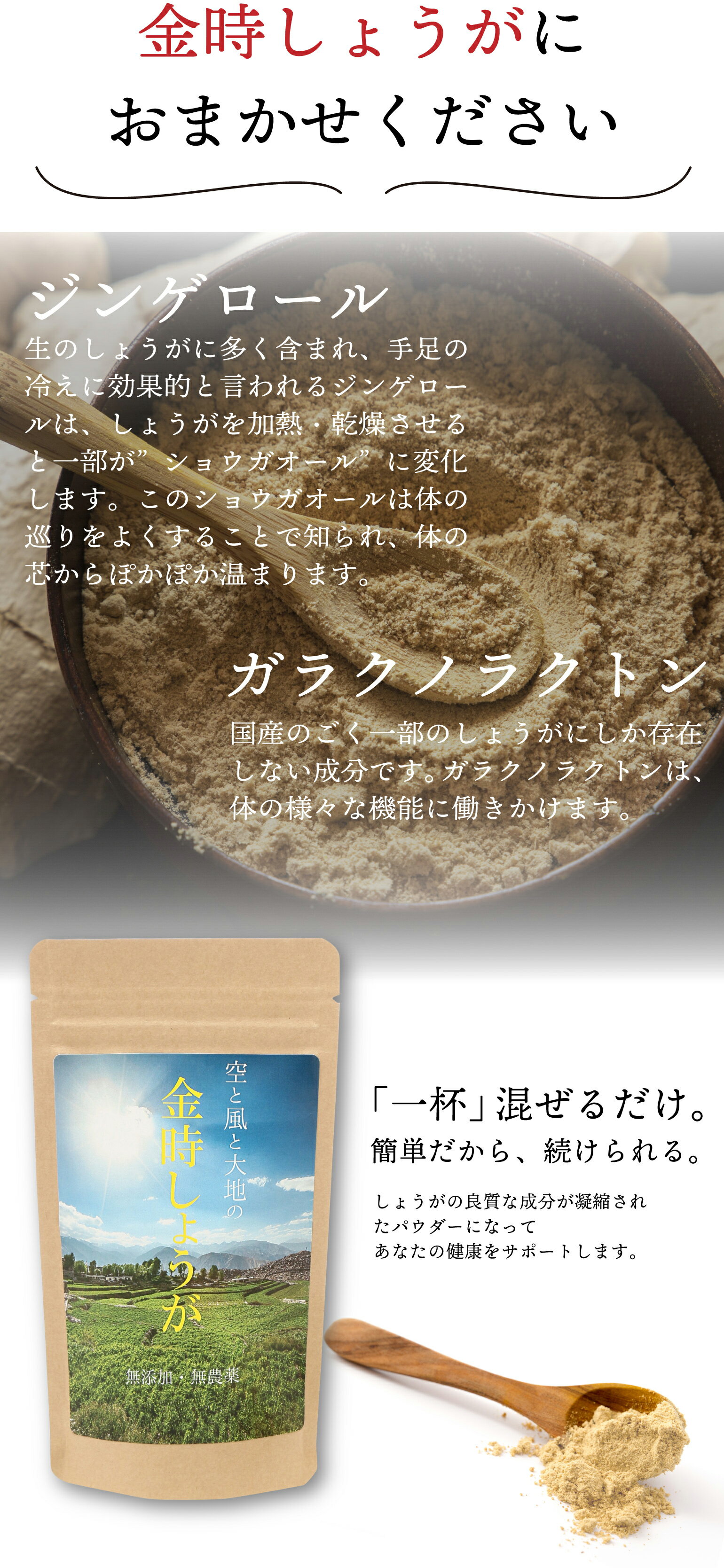 Sale 80 Off 国産の種を無農薬栽培した無添加の金時しょうが100 粉末です 辛味成分がたっぷり 冷え性でお悩みの方はぜひ一度お試し下さい ポイント最大42倍 スーパーsale 限定価格 金時しょうが 粉末 100g 生姜パウダー 温活 しょうがパウダー ショウガパウダー 冷え