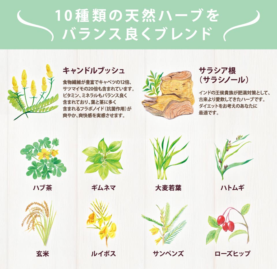 キャンドルブッシュやローズヒップなど10種類の天然ハーブをブレンドした無添加 無着色 無香料 ノンカフェインのダイエット デトックスティー 寝る前に飲めば 翌朝おなかスッキリ ハーバルビューティー 2 5g 30包 解消 キャンドルブッシュ インナービューティー スッキリ