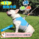 【1000円OFFクーポン配布中！時間限定】 【冷感タオル*1枚無料ゲット】 犬服 夏 冷感 犬 クールベスト 涼しい 保冷剤不要 繰り返し使用 小型犬 中型犬 服 ひんやり 犬服 接触冷感 ドッグウェア リードフック付き 冷却 暑さ対策 夏服 体温ダウン 散歩 熱中症対策 クール