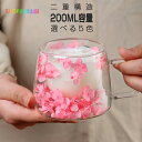 【全品対象2個で12%OFFクーポン配布中】 ダブルウォールグラス 2個セット 結露しにくい 二重構造 耐熱 ガラス コップ ガラス食器 お茶 コーヒー お酒 ...