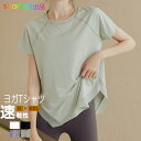 Tシャツ レディース 半袖 ヨガウェア ヨガ トップス 薄手 シースル 速乾 ホットヨガ ピラティス 運動着 おしゃれ 可愛い スポーティー スポーツ フィット...