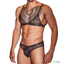 男性下着 ローライズ セクシー ハーフバック ビキニ ブラジャー メンズ セクシーランジェリー 下着 セットアップ エロ下着 上下セット メンズ下着 男性下着 エロい パンティー レース 勝負下着 コスチューム コスプレ