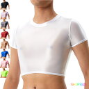 タイト tシャツ メンズ 半袖 ハーフ丈 光沢 セクシー コスチューム コスプレ 透け透け 透け感 タイトtシャツ ハーフtシャツ セクシーランジェリー カットソー 無地 おしゃれ