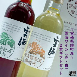 国産ワイン（父の日向き） 雲海ワイン 2本ギフトセット マスカットベーリーA デラウェア 送料無料 赤ワイン 白ワイン ワイン 飲み比べセット 宮崎ワイン 国産ワイン 綾ワイン 誕生日 プレゼント 母の日 ギフト 父の日 早割 2024 おすすめ あす楽 宮崎 酒 酒屋