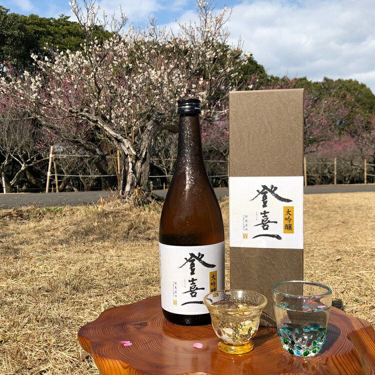 お買い物マラソン限定クーポン配布中／ 金賞酒 大吟醸 登喜一