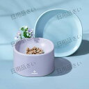 【期間限定で3190円】【2点セット】Pawaii 猫 食器 犬 2点セット 陶器 餌皿 餌入れ エサ皿 ペット用 フード 斜め 傾斜 磁器 猫用食器 フードボ...
